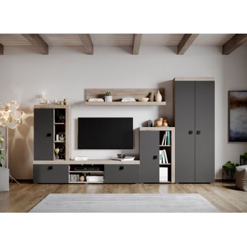 Set Mobilier Living Gri cu Stejar Henry-C05