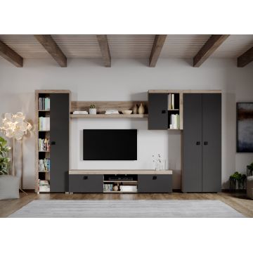Set Mobilier Living Gri cu Stejar Henry-C11