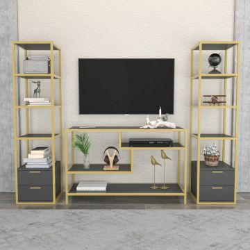 Comoda TV, Retricy, Robbins, 198x39x160 cm, PAL, Aur/Antracit