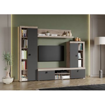 Set Mobilier Living Gri cu Stejar Gri Sam-C31