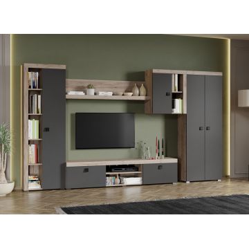 Set Mobilier Living Gri cu Stejar Gri Sam-C33