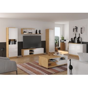 Set Hibrid 04 Artizan/Alb Luciu
