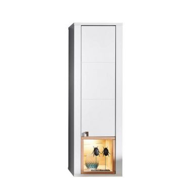 CORP SUSPENDAT in alb